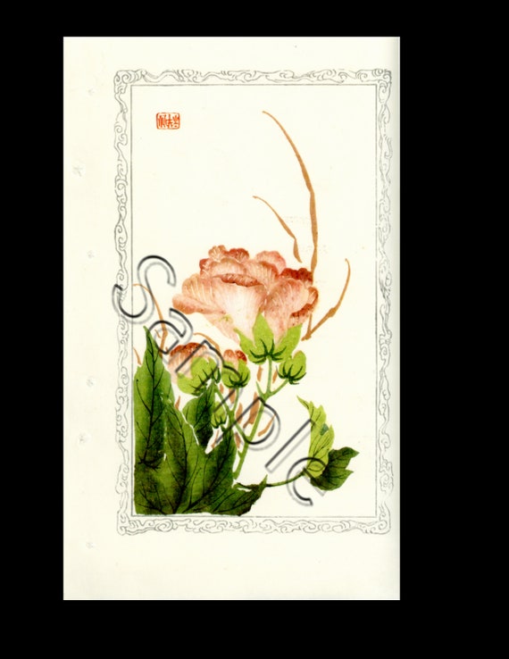 Chinese botanical woodblock print  from A Hundred Flowers