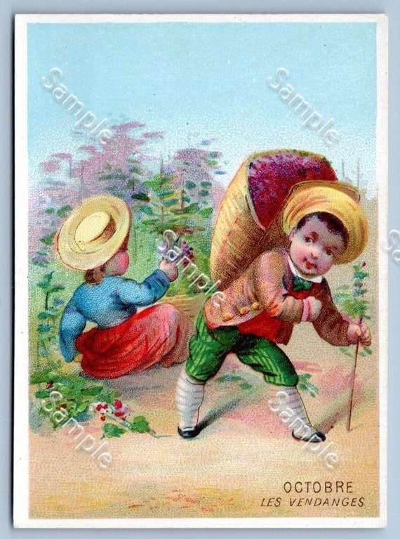 Antique Victorian Trade card chromo French children