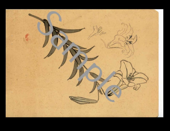 Antique rare Japanese Woodblock Print flower