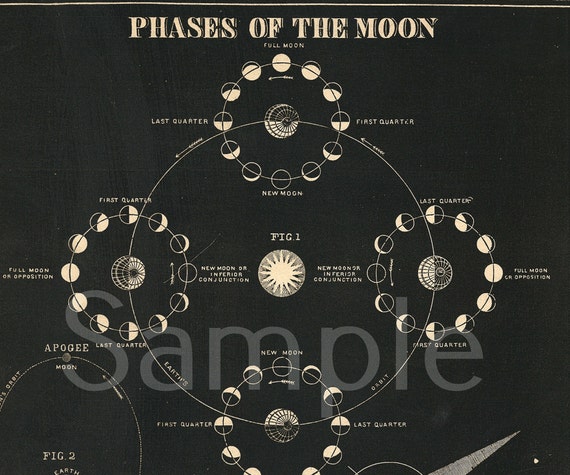 Gorgeous Original print from Smith's Illustrated Atlas of Astronomy stars galaxy planets dates 1850 MOON