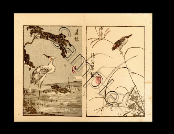 Japanese woodblock Japanese ukiyoe sketch of birds
