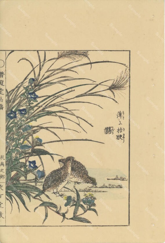 Japanese woodblock print Birds, Botanical flora,