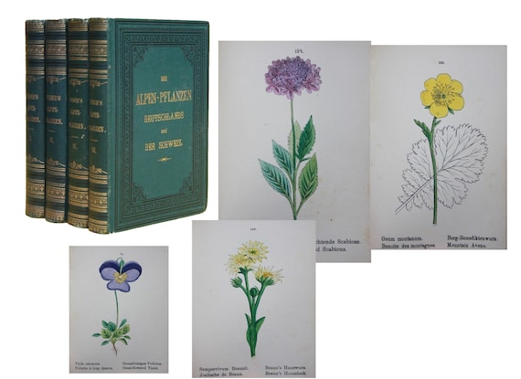 The Alpine Plants of Germany and Switzerland complete 4 volumes contains 400 Colored lithograph prints by J. C. WEBER