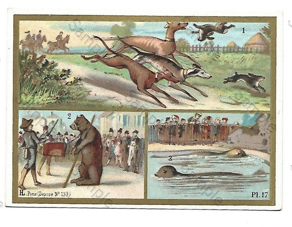 Rare  Victorian Trade card animals bear dogs