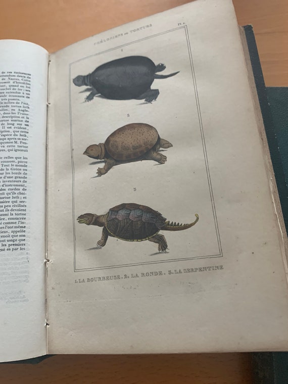19th century Three complete volumes De lacepede reptiles, mammals, fish , snakes