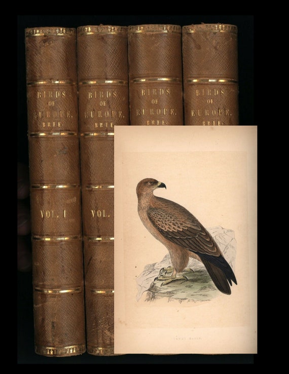 Charles Robert Bree History of the Birds of Europe (1859-63). 4 volumes with  238 hand  colored plates