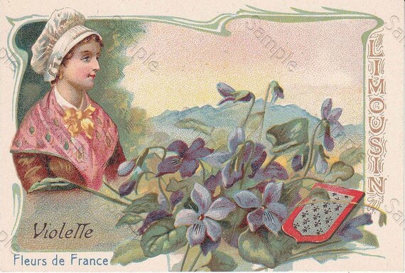 Rare antique Victorian Trade card chromo Flowers  Violette