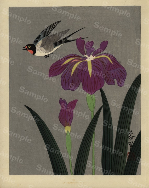 Vintage Japanese hand colored  Painting from 1940's era signed by artist Birds and Flowers