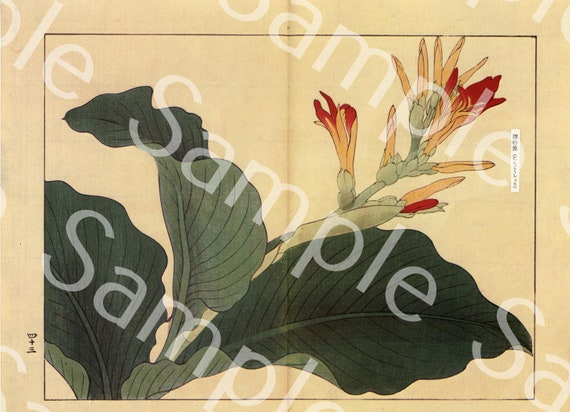 Vintage Japanese woodblockotanical flower print