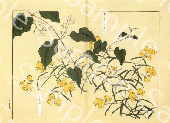 Vintage Japanese woodblock Botanical flower print