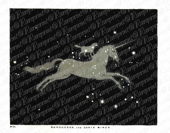 Antique Original Astronomy Engraving Monoceros and Canis Minor From The Beauty of the Heavens 1845  Very Rare - Constellations- Stars