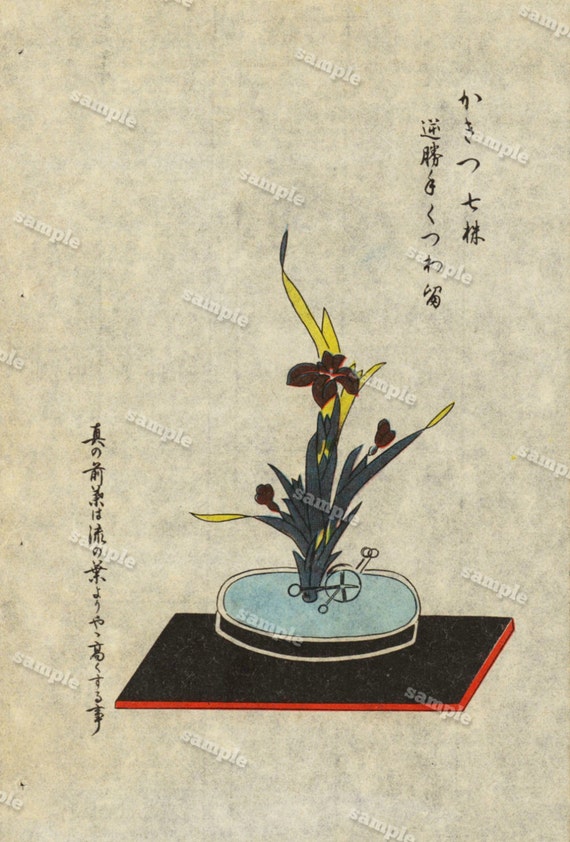 Flower arrangements  woodblock Print vases original Mejii Period