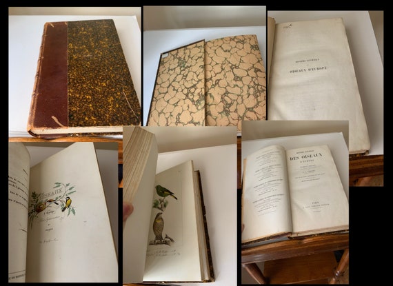 19th century Authentic antique Ornithology book complete one volume of 80 engravings bird prints