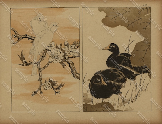 Original Antique Japanese Birds  Print dated 1888 Hokusai Art Large folio size - Black Birds