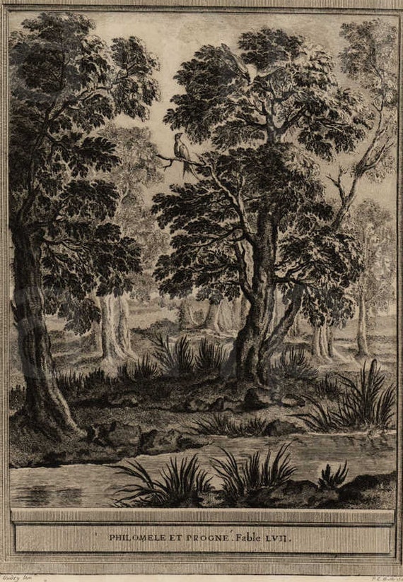 Original Antique Engraving   - Trees and Bird - Landscape de Lafontaine fables