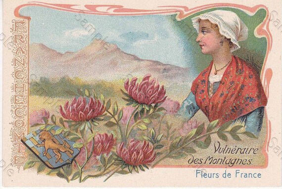 Rare antique Victorian Trade card chromo Flowers  Vulnéraire des Montagnes