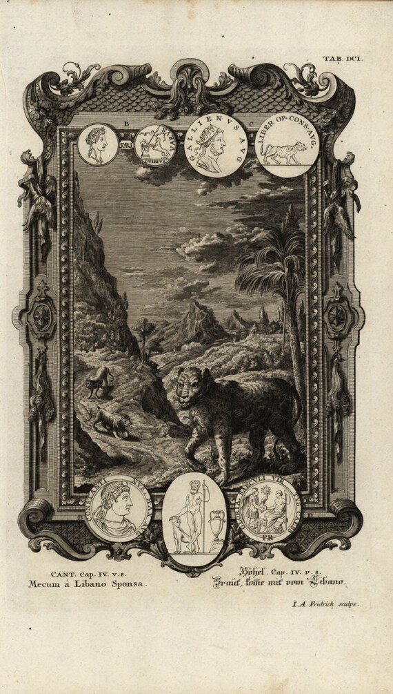 Original   Physica Sacra  Original Large Folio Engraving -  Biblical engraving   - 1731 - Cat -  Jaguar - Animal - Mecum A Libano Sponsa