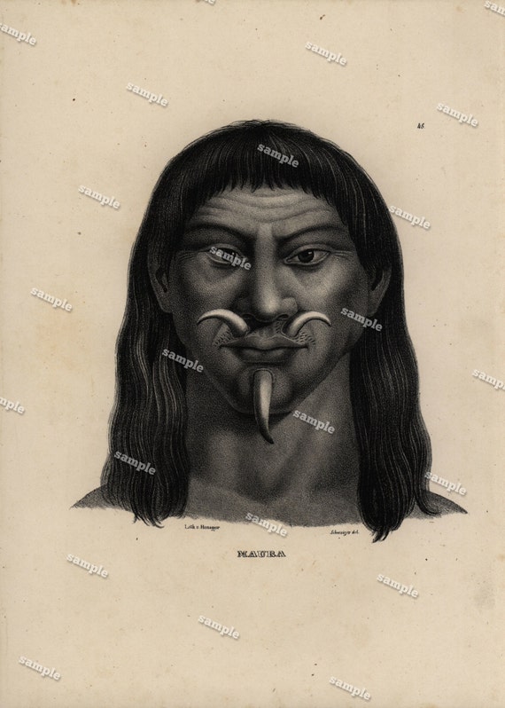 Authentic 1842 Natural History Print of Human Race-Maura-Large print-black and white zoology print