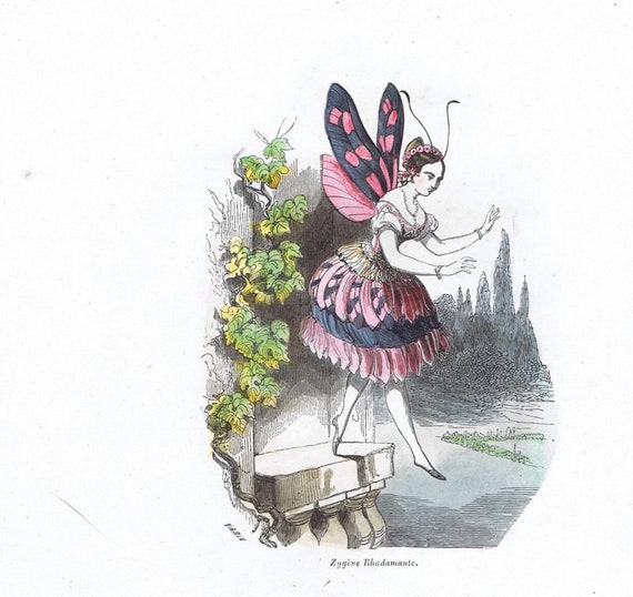Original anthropomorphism 1852 Dysphania butterfly entomology butterfly Moth lithograph print Varin handcolor