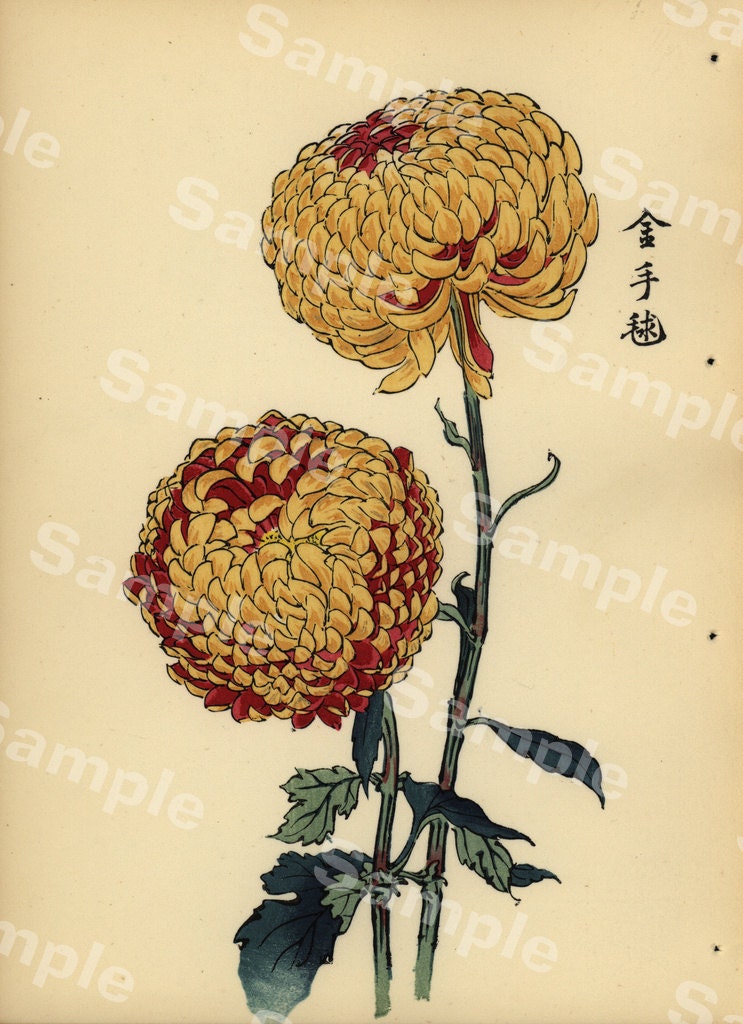 Lovely KORIN ukiyoe Japanese woodblock original antique print of