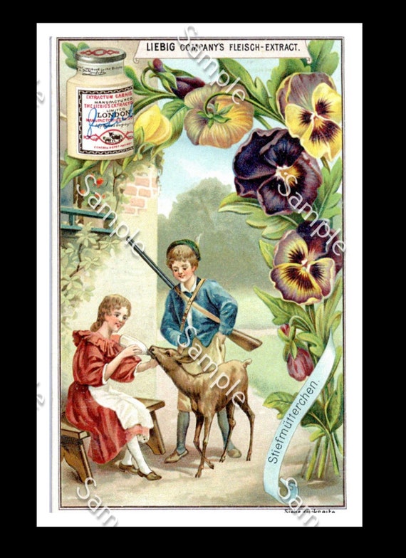 Liebig Victorian Trade card children flowers Img0026