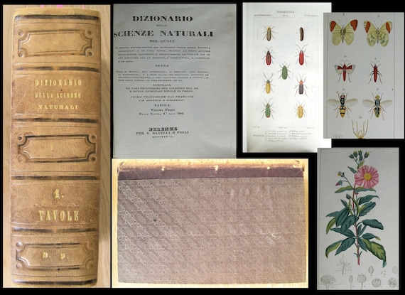 Original Botanical German bound leather book Natural history of science circa 1800 over 270 hand colored prints