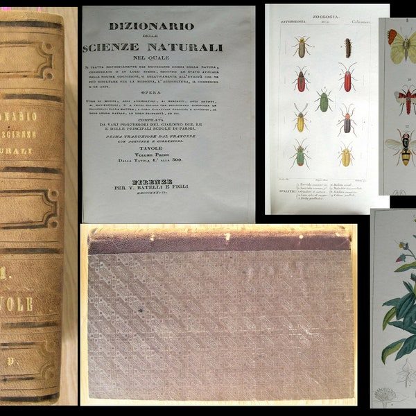 Original Botanical German bound leather book Natural history of science circa 1800 over 270 hand colored prints