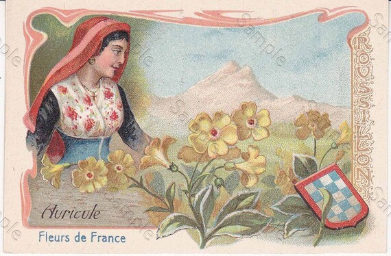 Rare antique Victorian Trade card chromo Flowers  Auricule