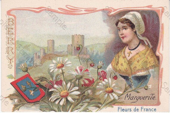 Rare antique Victorian Trade card chromo Flowers Marguerite
