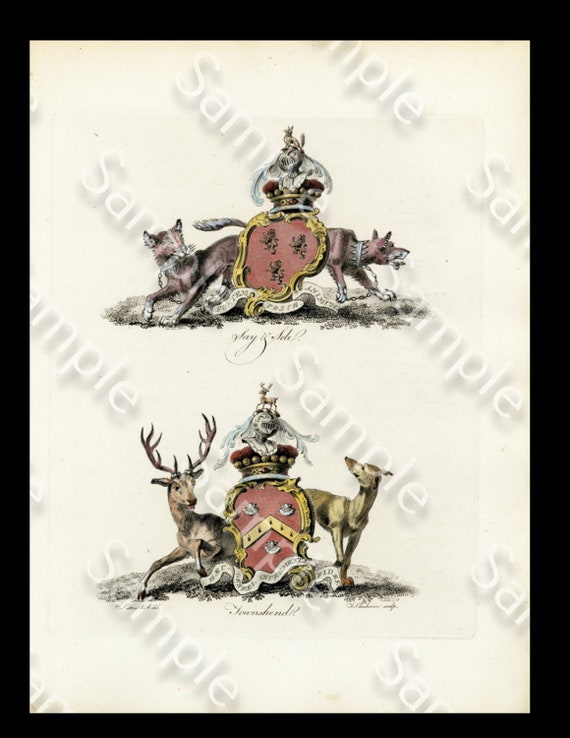 True Authentic Rare Heraldry Coat of Arms hand colored engraving print Circa 1790