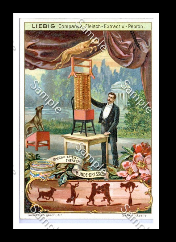 Liebig Victorian Trade card  theater show  Img0022