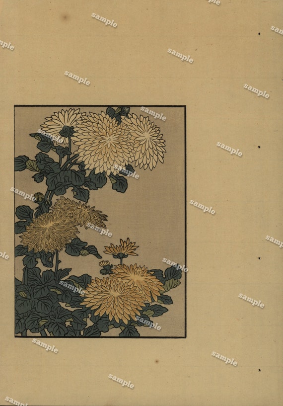 1920  Woodblock  print from master Kitagawa Utamaru Large folio size - Flowers- decorative art- wall art- art deco