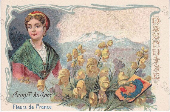 Rare antique Victorian Trade card chromo Flowers Aconit Anthora