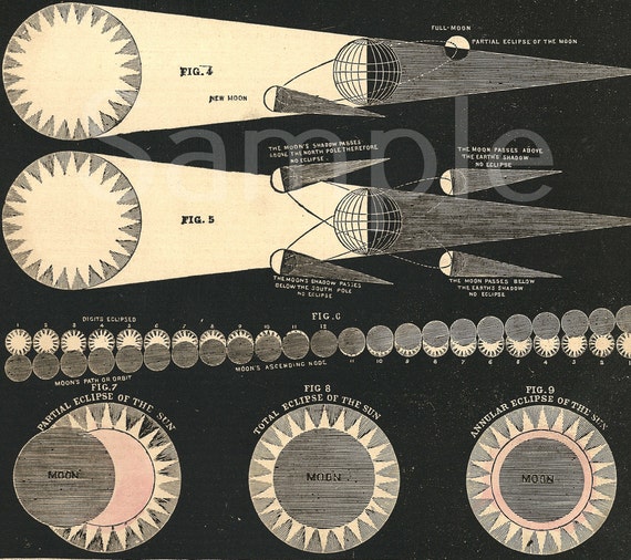 Gorgeous Original print from Smith's Illustrated Atlas of Astronomy stars galaxy planets dates 1850