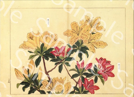 Vintage Japanese woodblock Botanical flower print