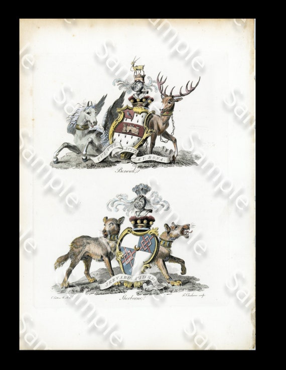 True Authentic Rare Heraldry Coat of Arms hand colored engraving print Circa 1790