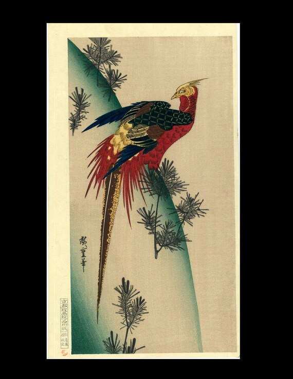 Mid century vintage woodblock print Pheasant
