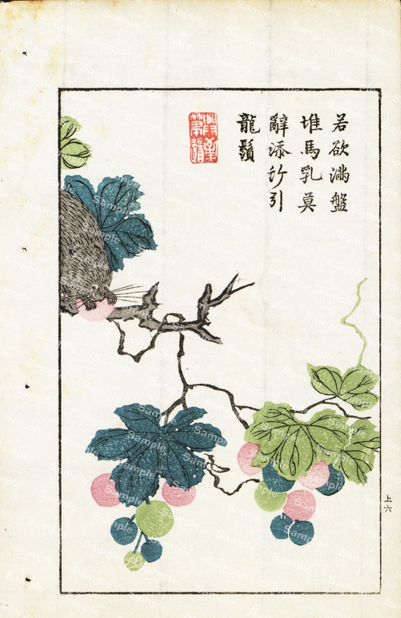 Chinese handcolored woodblock painting Botanical flowers