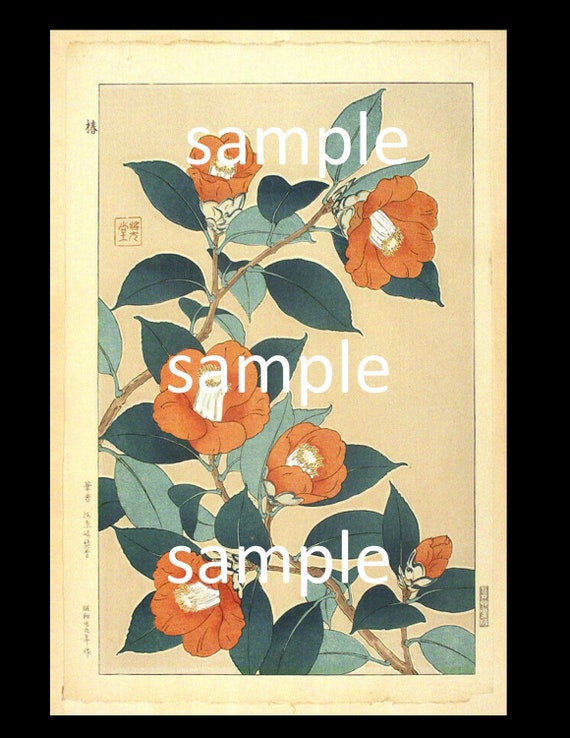 Circa 1950's Vintage SHODO KAWARAZAKI CAMELLIAS Woodblock flower print