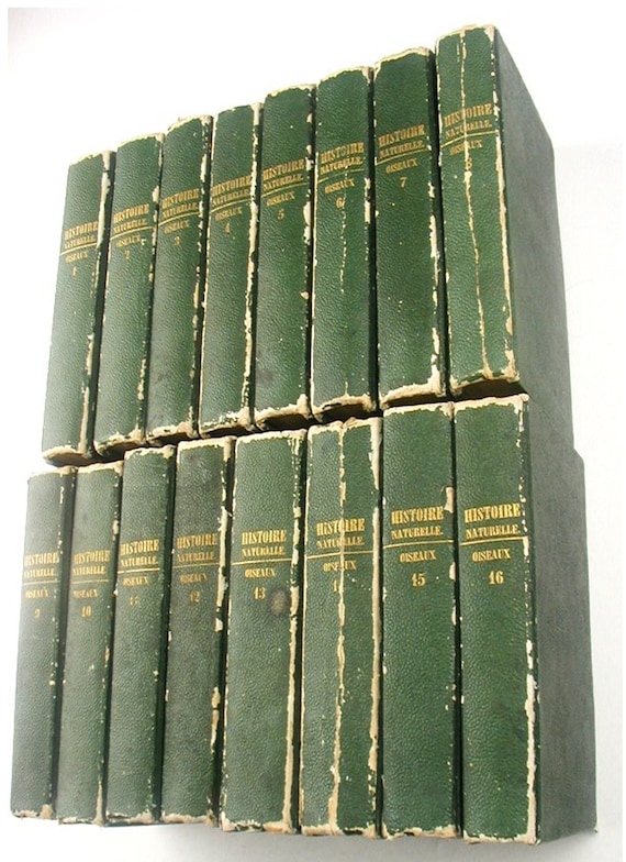 Circa 1801 CASTEL 16 complete volume set on BIRDS  129 fine hand colored plates First Edition