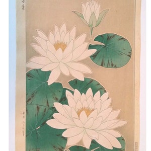 Japanese woodblock print Water Lilies by  Kawarazaki Shodo