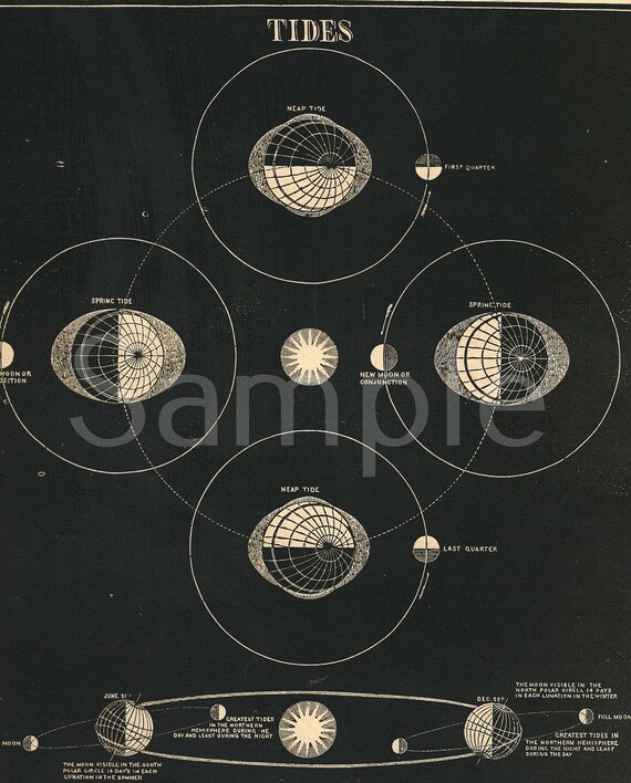 Gorgeous Original print from Smith's Illustrated Atlas of Astronomy stars galaxy planets dates 1850