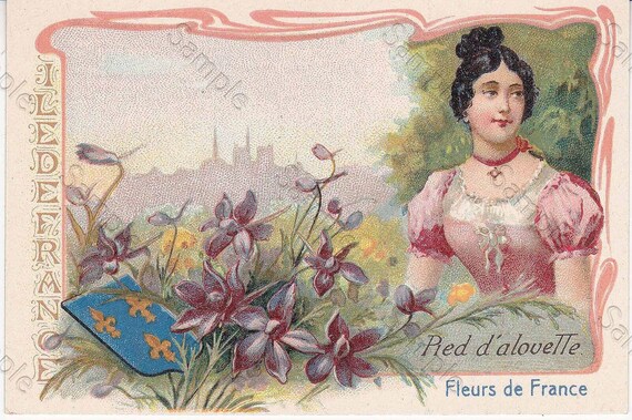 Rare antique Victorian Trade card chromo Flowers Pied d'Alouette des Blés