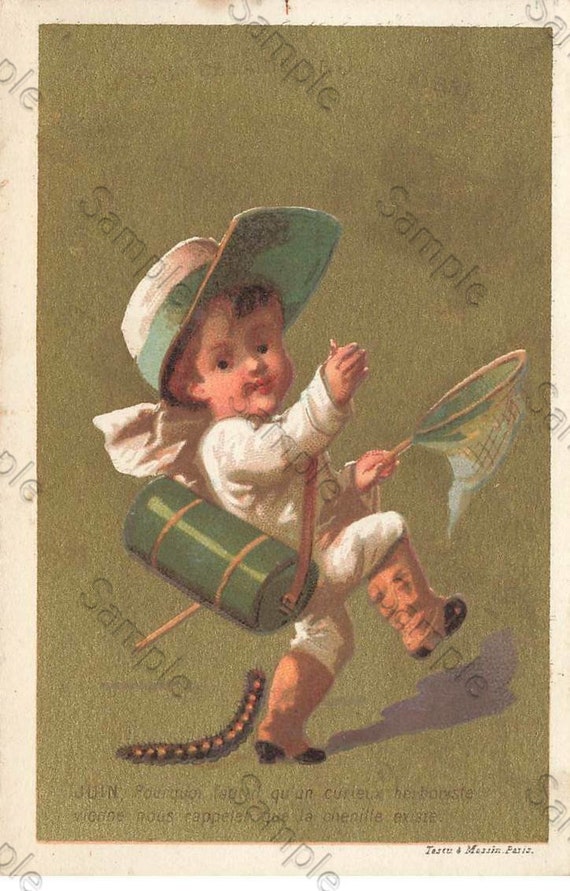 Rare  Victorian Trade card  boy