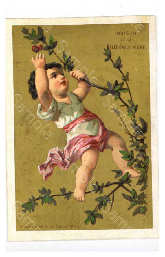 Antique Victorian Trade card chromo little girl on a tree branch