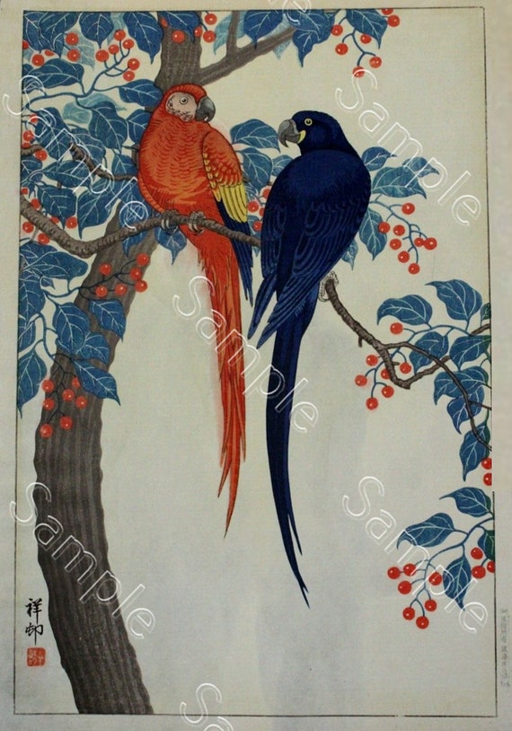 Mid Century Japanese woodblock print of parrots