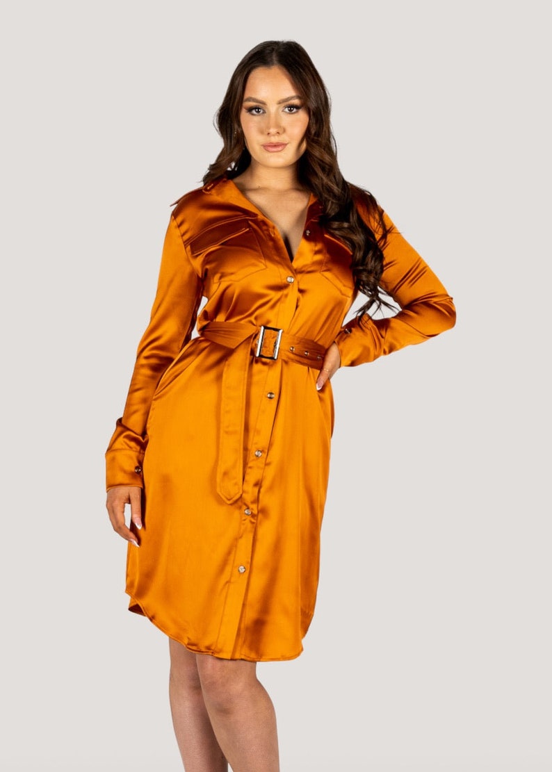 Jackie" Trench Coat Dress Rusty Orange