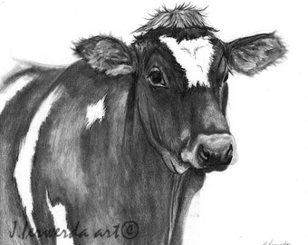  Cow pencil drawing Etsy