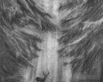 wood pencil drawing