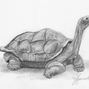 Blinkers - Day 210 Pencil Drawing Print
